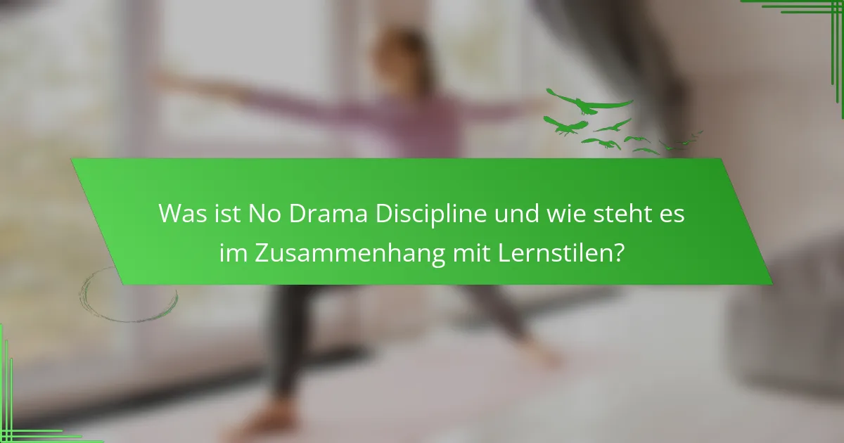 Was ist No Drama Discipline und wie steht es im Zusammenhang mit Lernstilen?