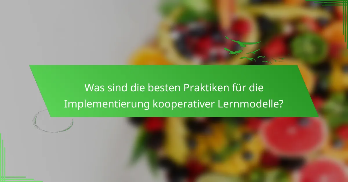 Was sind die besten Praktiken für die Implementierung kooperativer Lernmodelle?