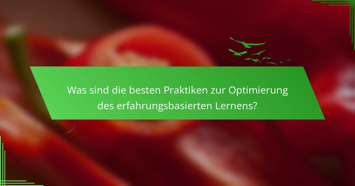 Was sind die besten Praktiken zur Optimierung des erfahrungsbasierten Lernens?