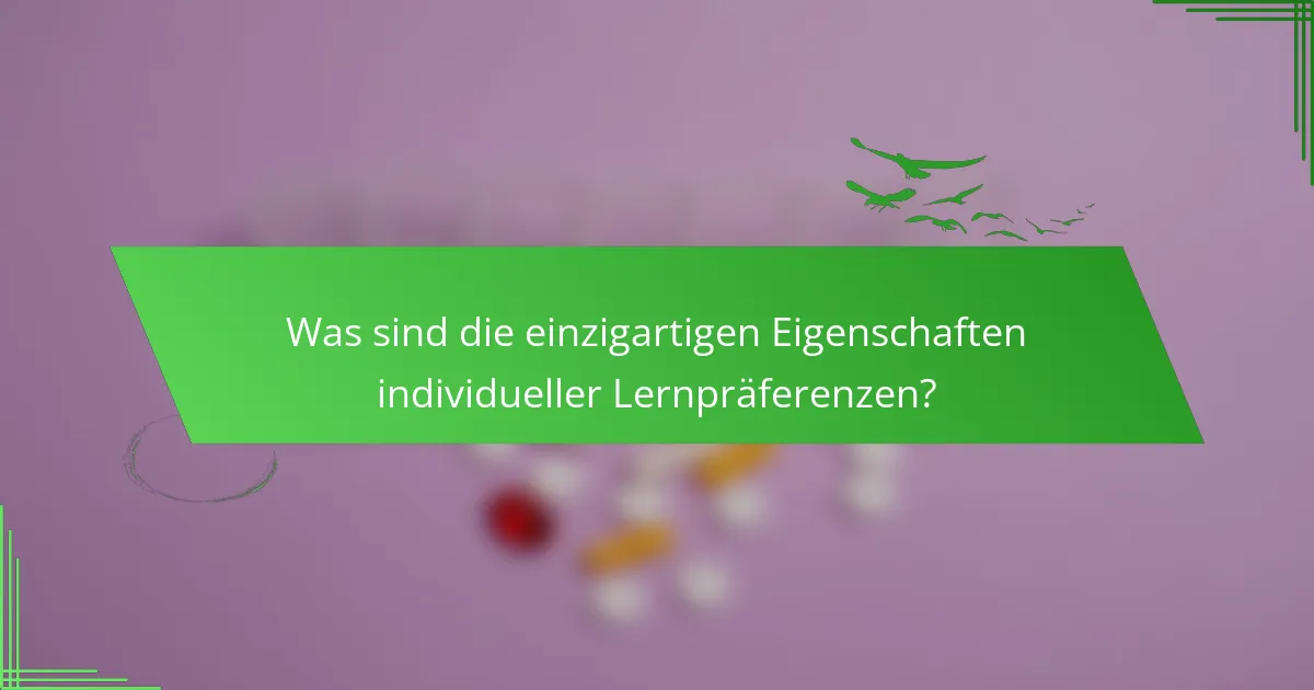 Was sind die einzigartigen Eigenschaften individueller Lernpräferenzen?