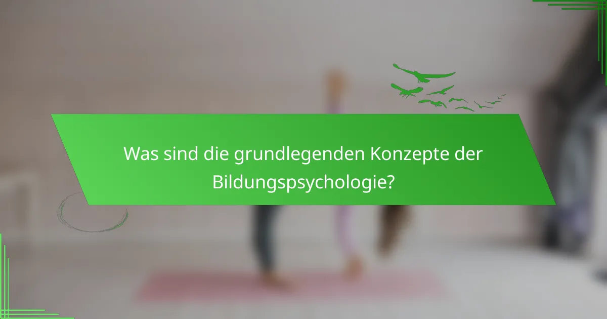 Was sind die grundlegenden Konzepte der Bildungspsychologie?