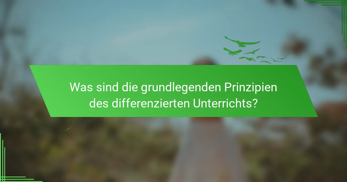 Was sind die grundlegenden Prinzipien des differenzierten Unterrichts?