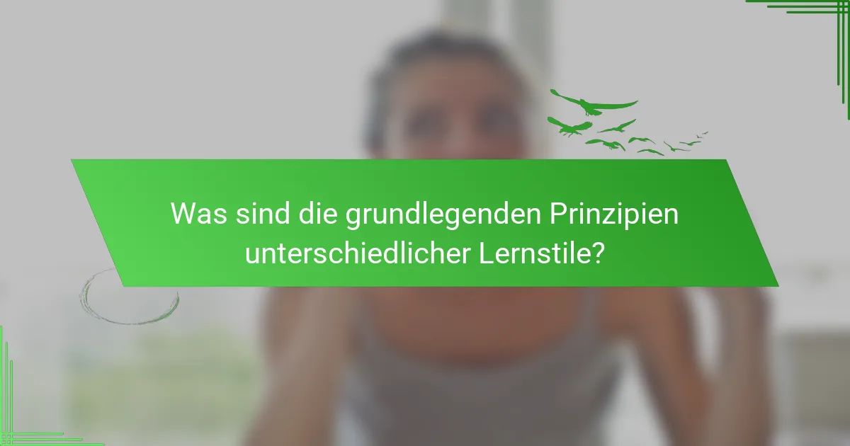 Was sind die grundlegenden Prinzipien unterschiedlicher Lernstile?