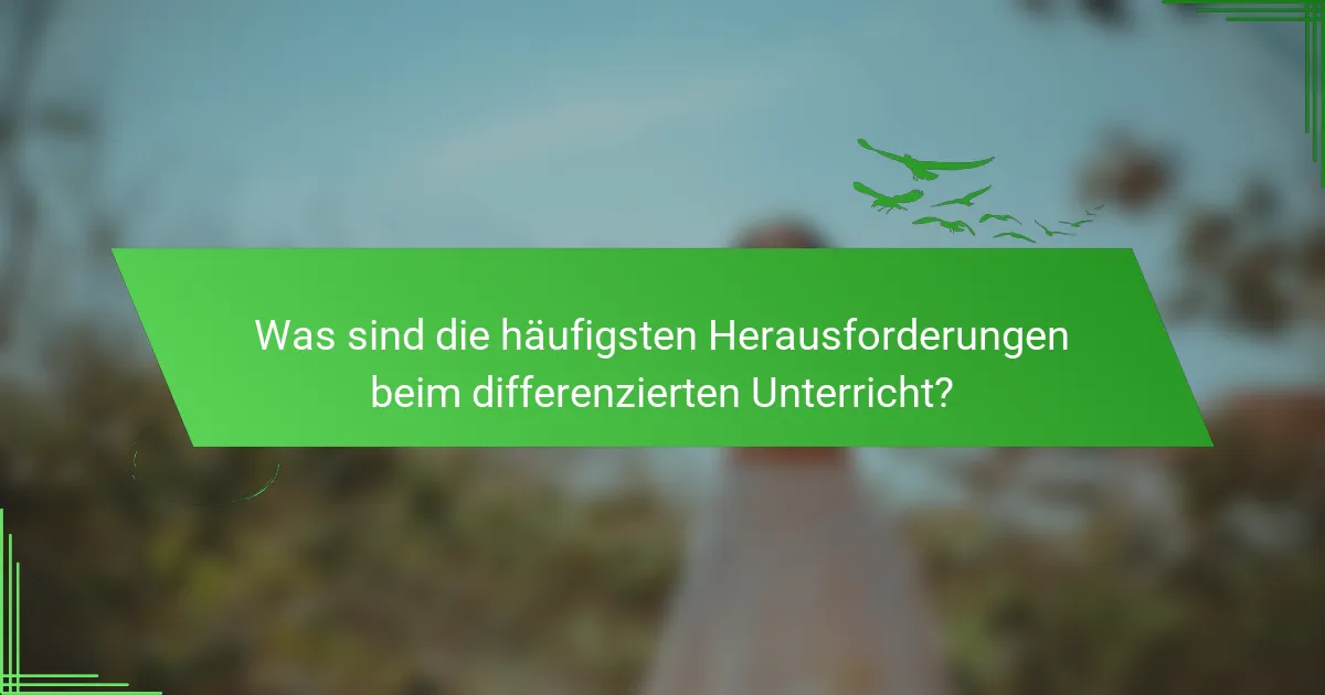Was sind die häufigsten Herausforderungen beim differenzierten Unterricht?