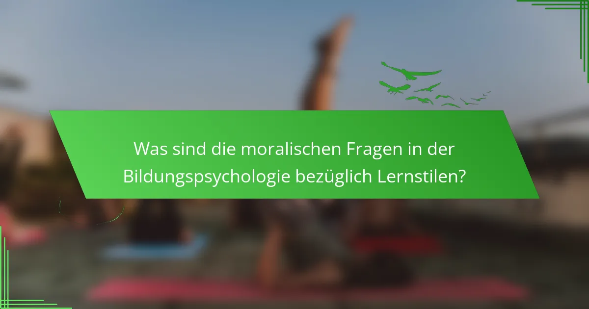 Was sind die moralischen Fragen in der Bildungspsychologie bezüglich Lernstilen?