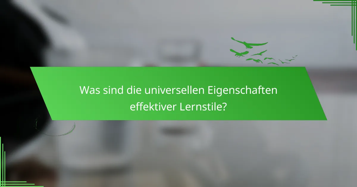 Was sind die universellen Eigenschaften effektiver Lernstile?