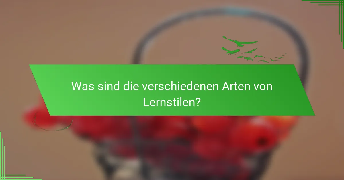Was sind die verschiedenen Arten von Lernstilen?