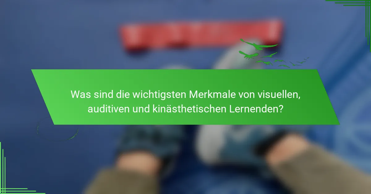 Was sind die wichtigsten Merkmale von visuellen, auditiven und kinästhetischen Lernenden?
