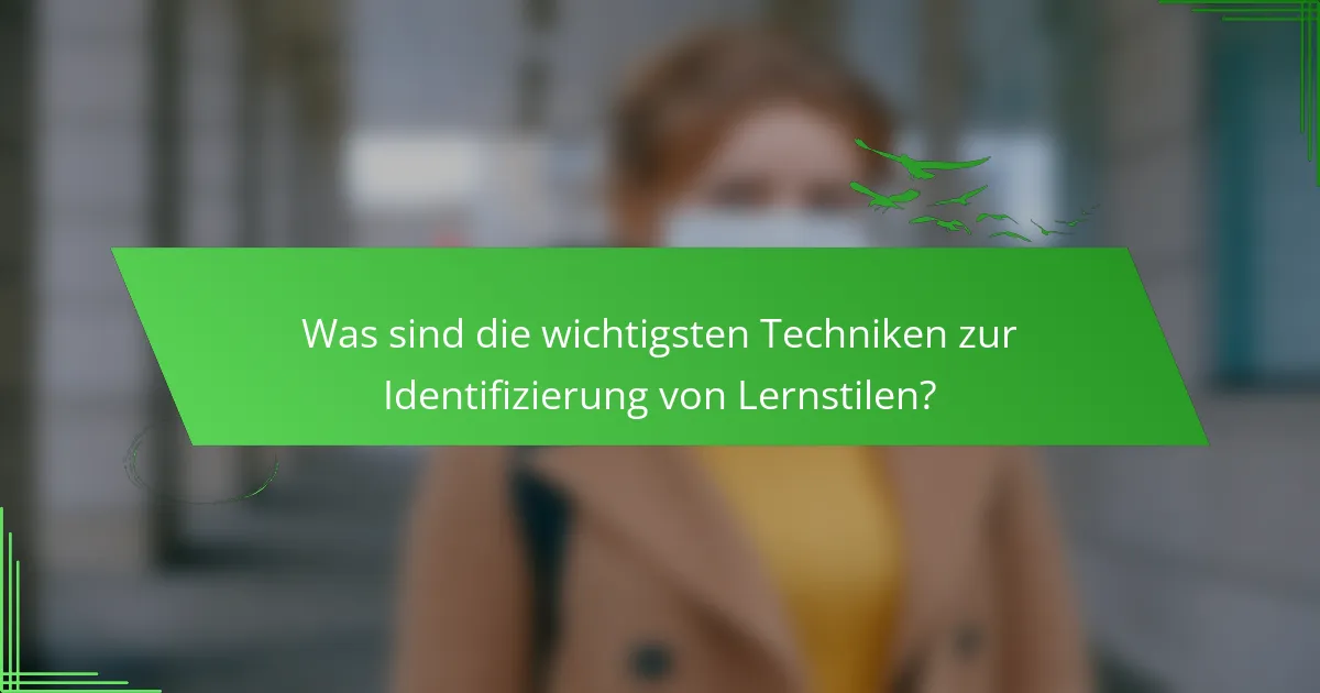 Was sind die wichtigsten Techniken zur Identifizierung von Lernstilen?