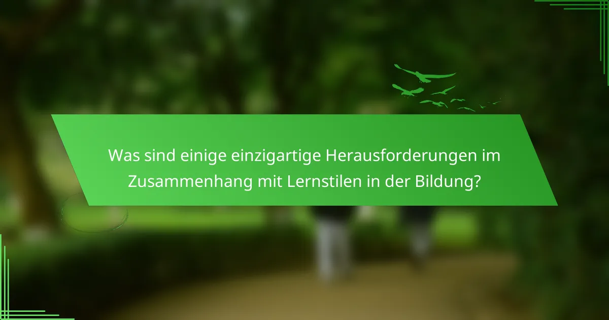 Was sind einige einzigartige Herausforderungen im Zusammenhang mit Lernstilen in der Bildung?