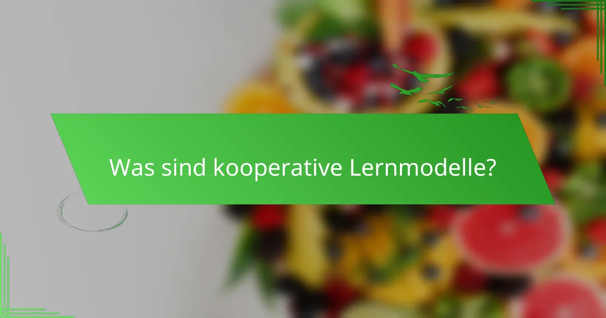 Was sind kooperative Lernmodelle?