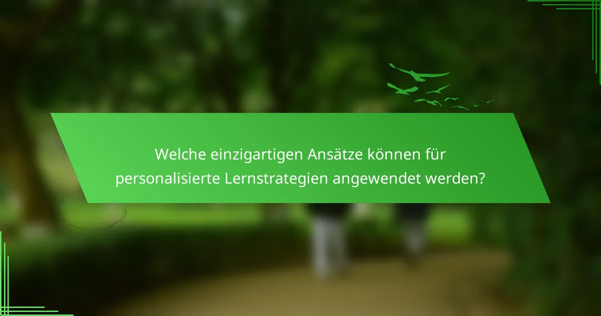 Welche einzigartigen Ansätze können für personalisierte Lernstrategien angewendet werden?