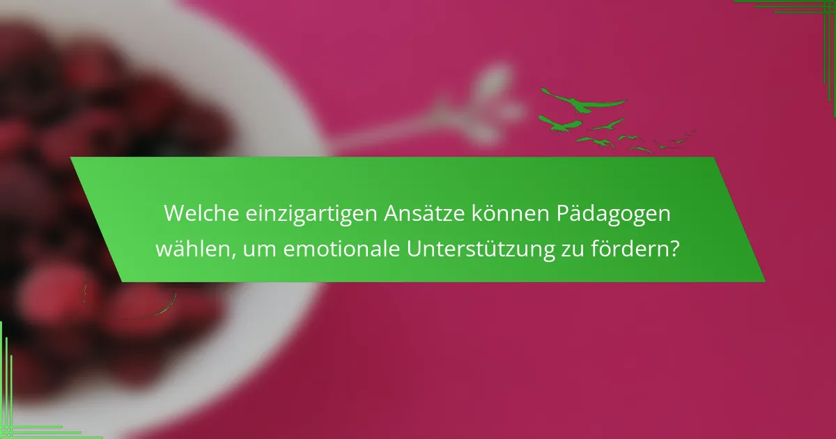 Welche einzigartigen Ansätze können Pädagogen wählen, um emotionale Unterstützung zu fördern?