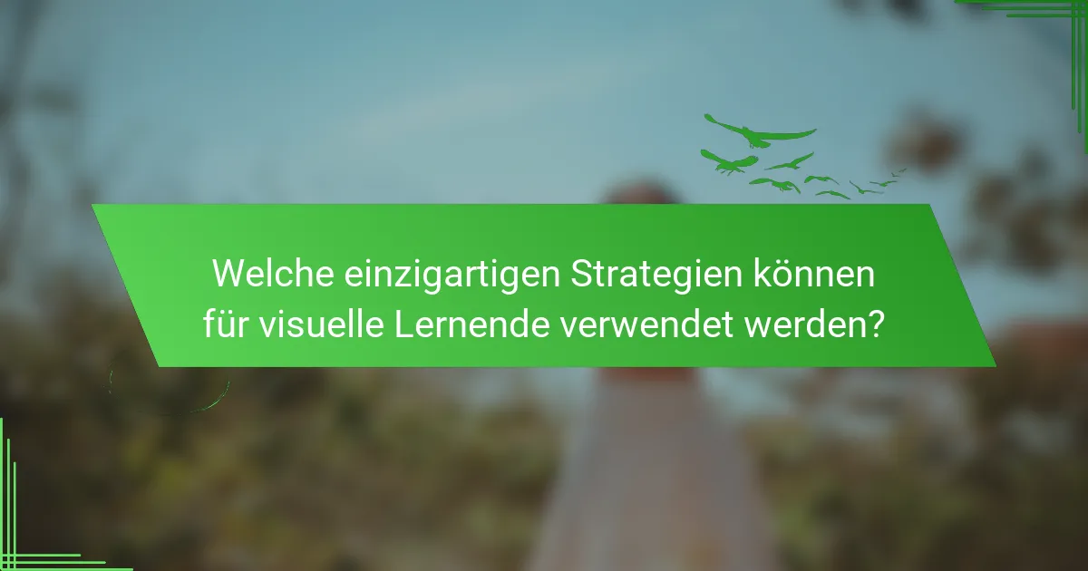 Welche einzigartigen Strategien können für visuelle Lernende verwendet werden?