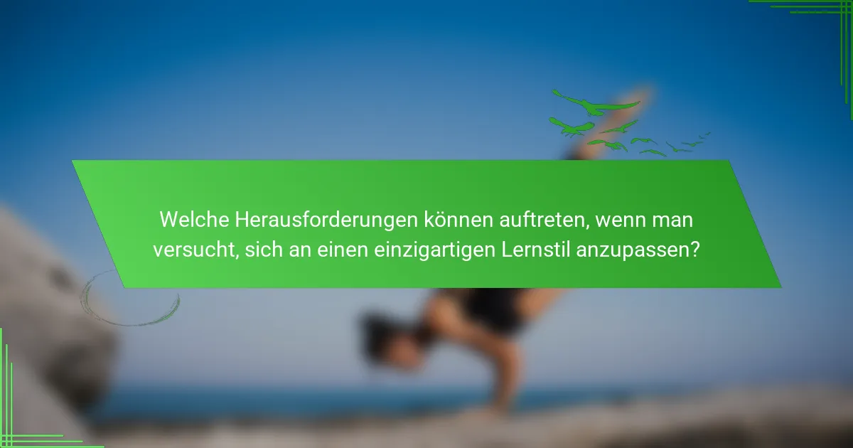 Welche Herausforderungen können auftreten, wenn man versucht, sich an einen einzigartigen Lernstil anzupassen?