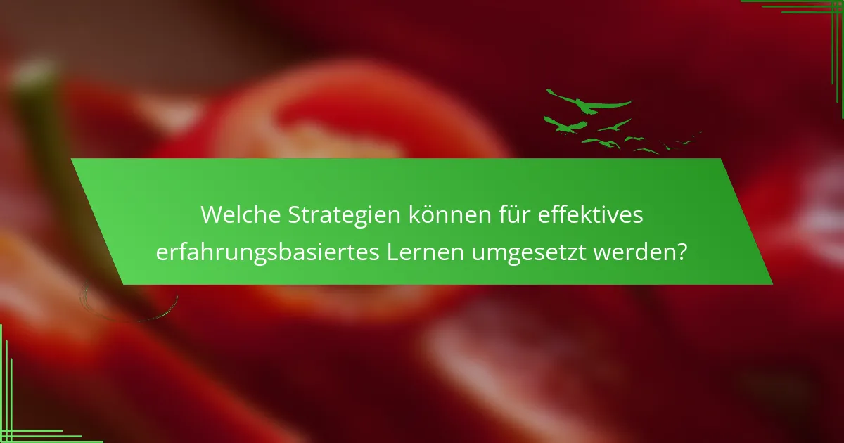 Welche Strategien können für effektives erfahrungsbasiertes Lernen umgesetzt werden?