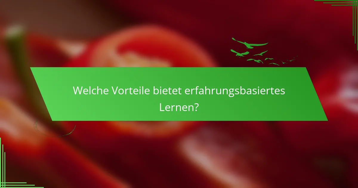 Welche Vorteile bietet erfahrungsbasiertes Lernen?