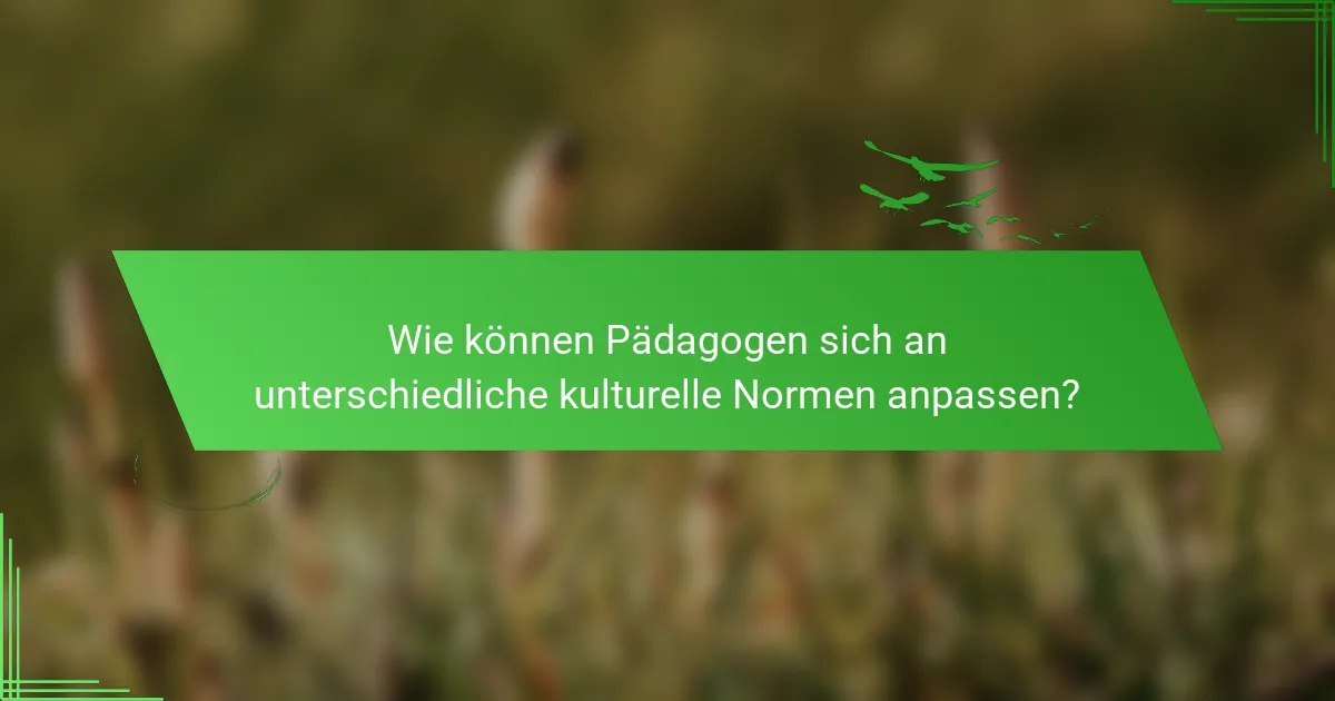 Wie können Pädagogen sich an unterschiedliche kulturelle Normen anpassen?