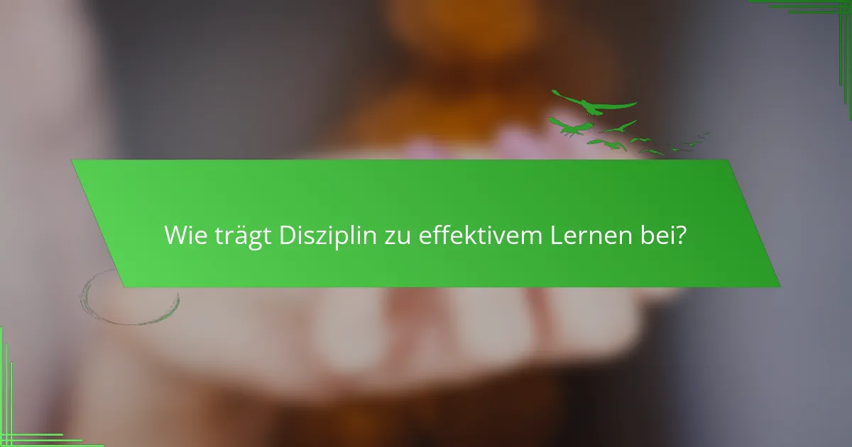 Wie trägt Disziplin zu effektivem Lernen bei?
